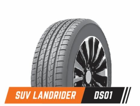 235/55R18 100 V DS01